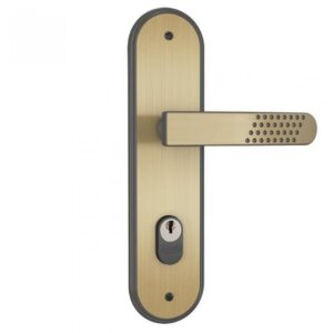 Fechadura Externa Stam 1601/21 (55mm) Oxidada 11726