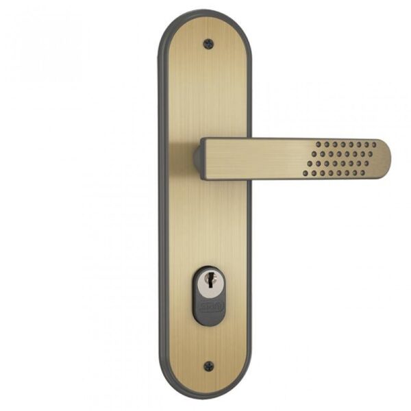 Fechadura Externa Stam 1601/21 (55mm) Oxidada 11726
